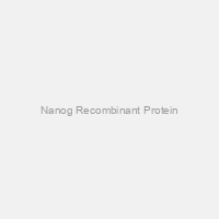 Nanog Recombinant Protein